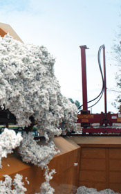 Agriculture - Builder