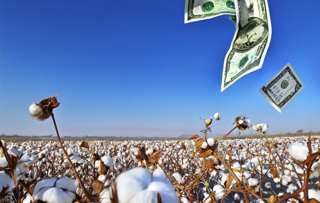 Cotton Prices: Will They Hold Up?