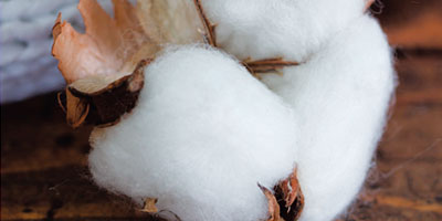 Life Cycle Assessment Update