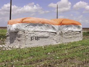 Figure 4 Two Case half-length modules staged together for pick-up by a module truck.