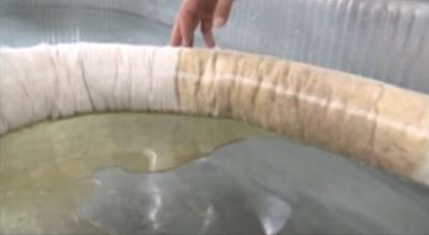 oil - Company Timeline oil - Company Timeline