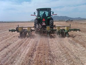Ron Rayner cotton planting